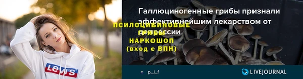 стаф Белокуриха