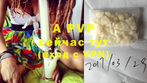 стаф Белокуриха