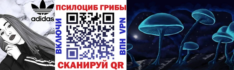 наркотики  Кодинск  Галлюциногенные грибы мицелий 